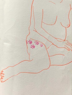 Coloured pencil on paper