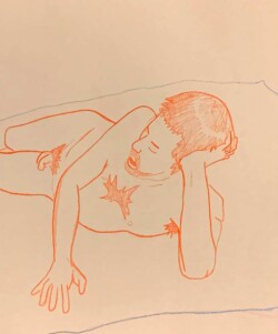 Coloured pencil on paper